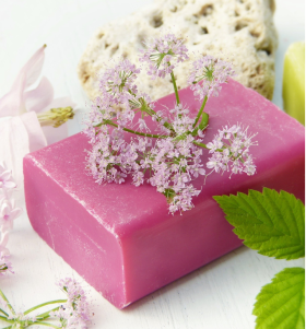 Oganic Soap