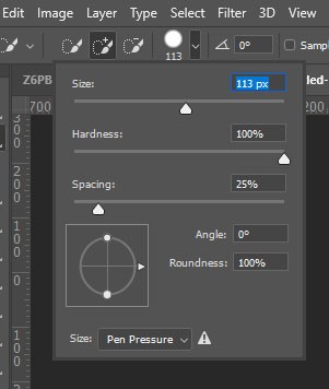 Quick Selection Tool