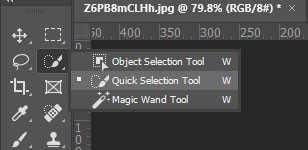 Quick Selection Tool