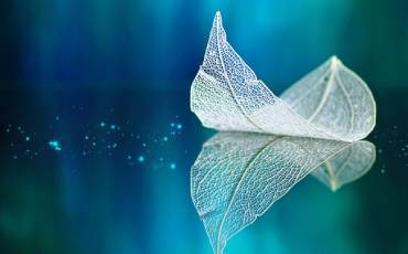 Sharpen Images In Photo-shop With The High Pass Filter