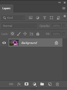 The Background Layer