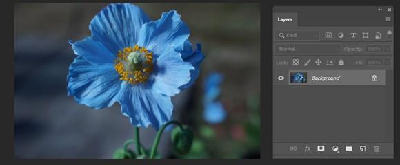 Open the culpable picture in Photoshop Elements