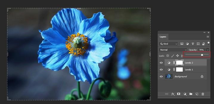 Lower opacity of adjustment layer of How to instantly darken overexposed images