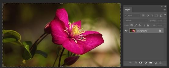 Guide to Edit RAW images using Adobe Camera RAW