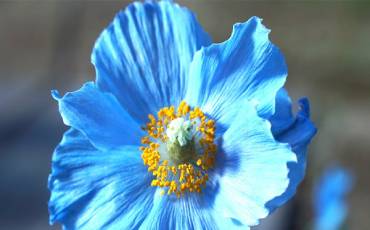 How to instantly darken overexposed images with photoshop