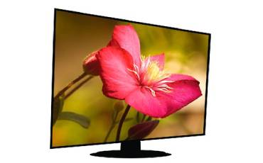 Photo Editing – How to Edit RAW images using Adobe Camera RAW