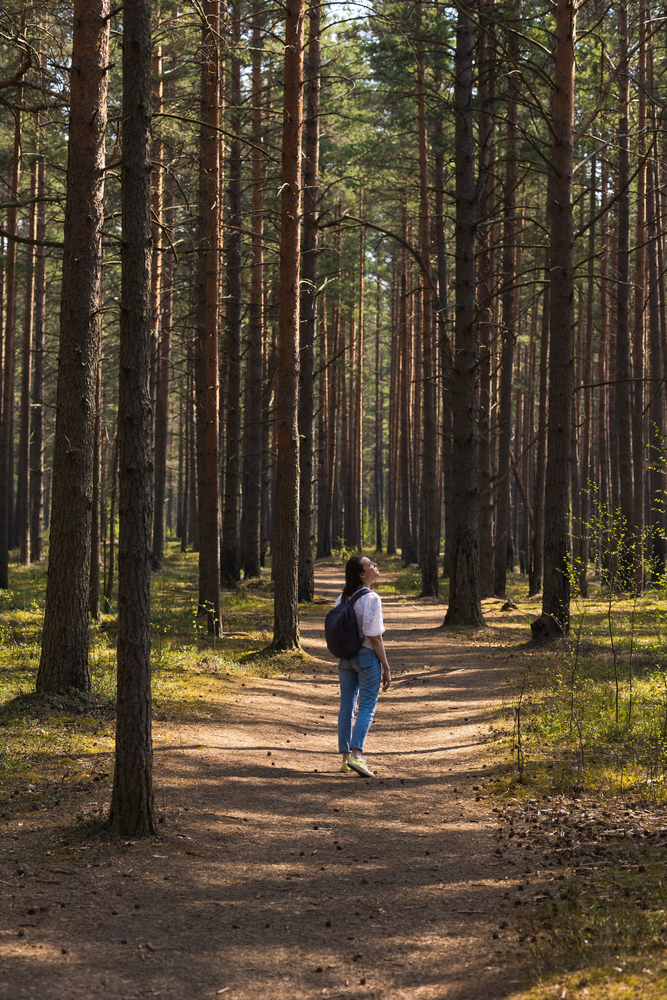 Clipping path services