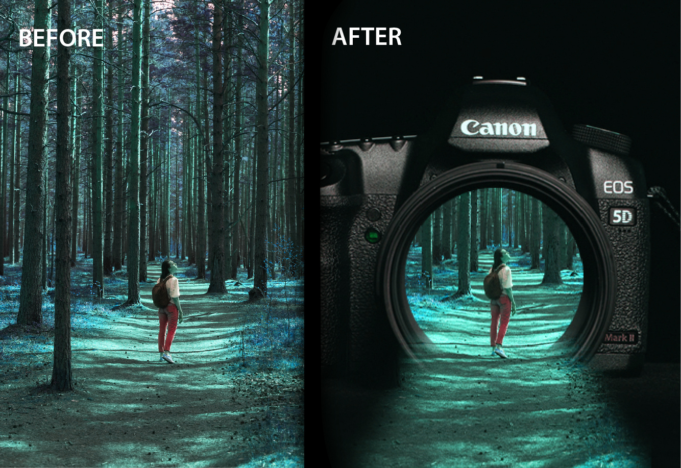 Professional Image Manipulation Services 